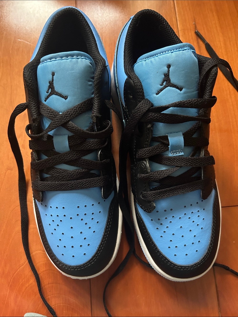 Jordan Low-Top Sneakers in Blue and Black